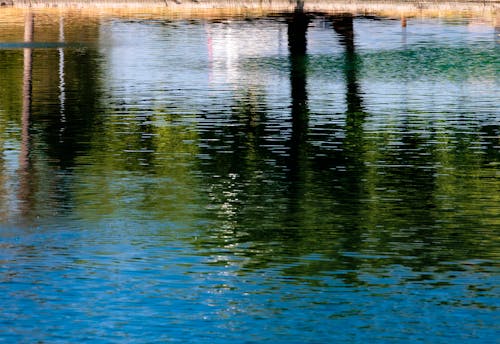 Water Reflections 3