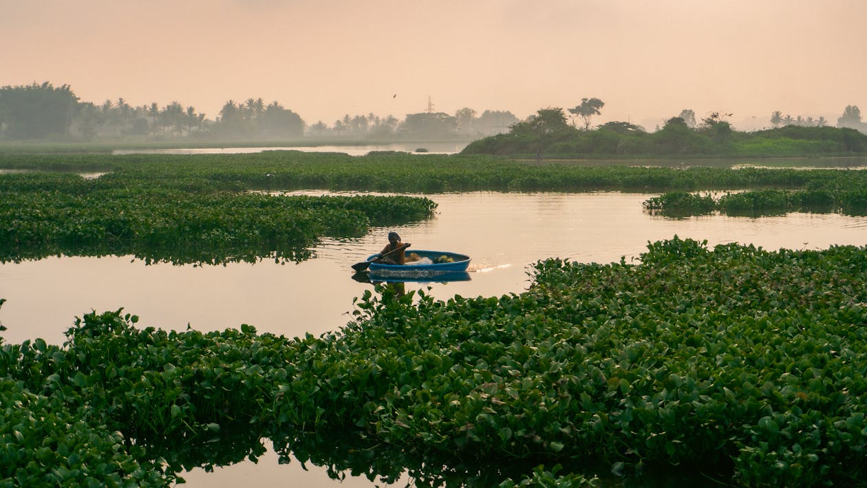 Free A Person Crossing the Lake in a Basket Boat  Stock Photo