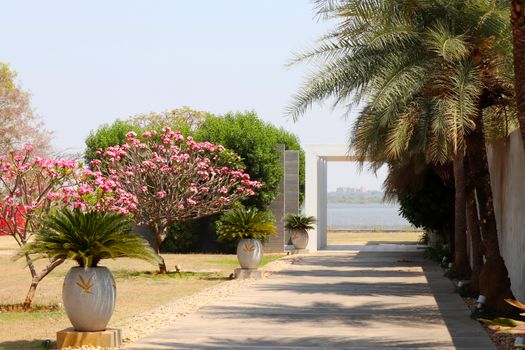 Beautiful garden pathway lined with palm trees and vibrant pink blooms, leading to a tranquil lake view.
