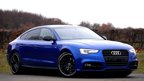 Sedán Audi Azul Estacionado Cerca Del Bosque