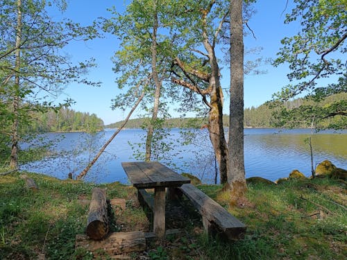 Kostnadsfri bild av natur, rastplats, rastplats med sjöutsikt