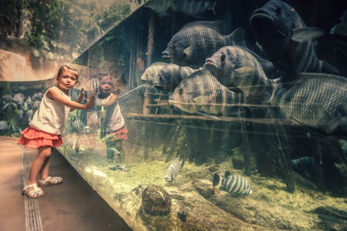 Girl In White Sleeveless Top And Skirt Near Aquarium