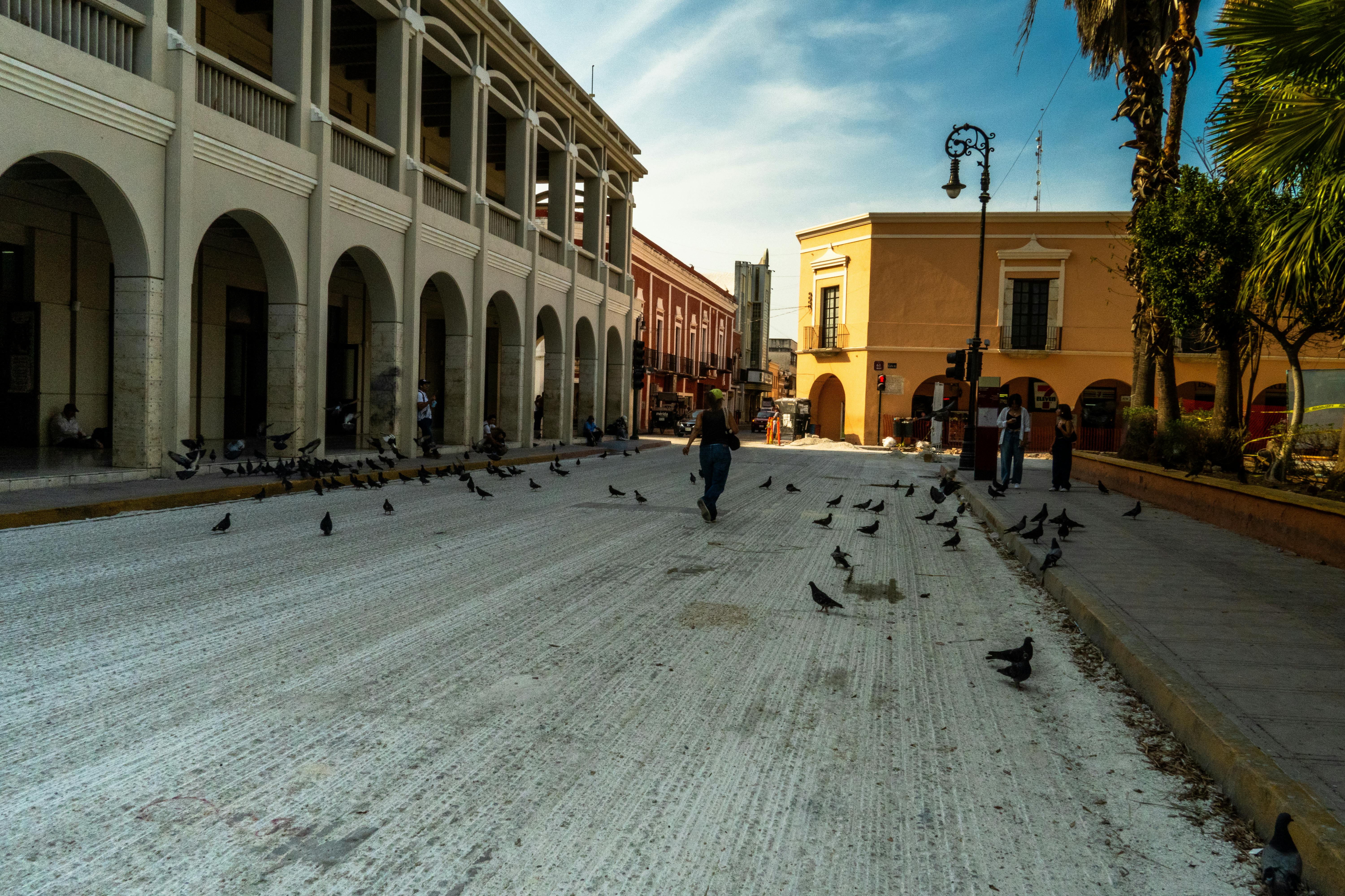 passersby walking among pigeons in merida square