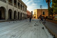 Merida