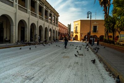 Merida