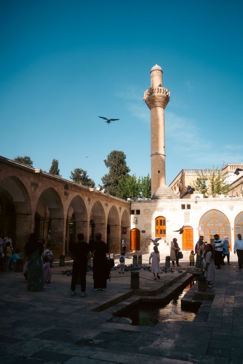 Free People gather in a historic courtyard beneath a minaret in Şanlıurfa, Türkiye, under a clear sky. Stock Photo