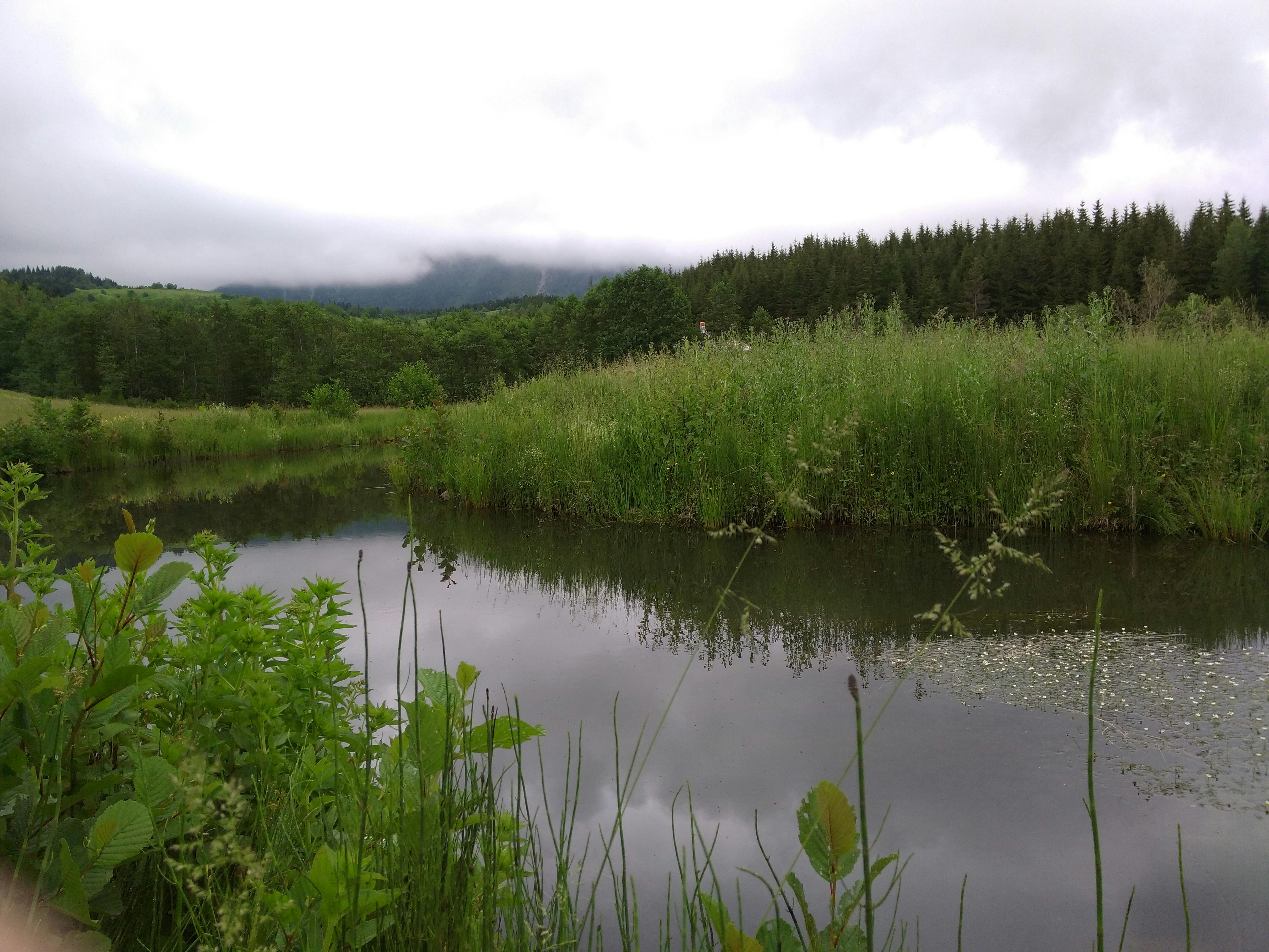 Kostenlose Bilder von Tolga · Pexels