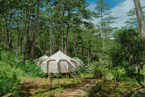 A tent in the woods surrounded by trees