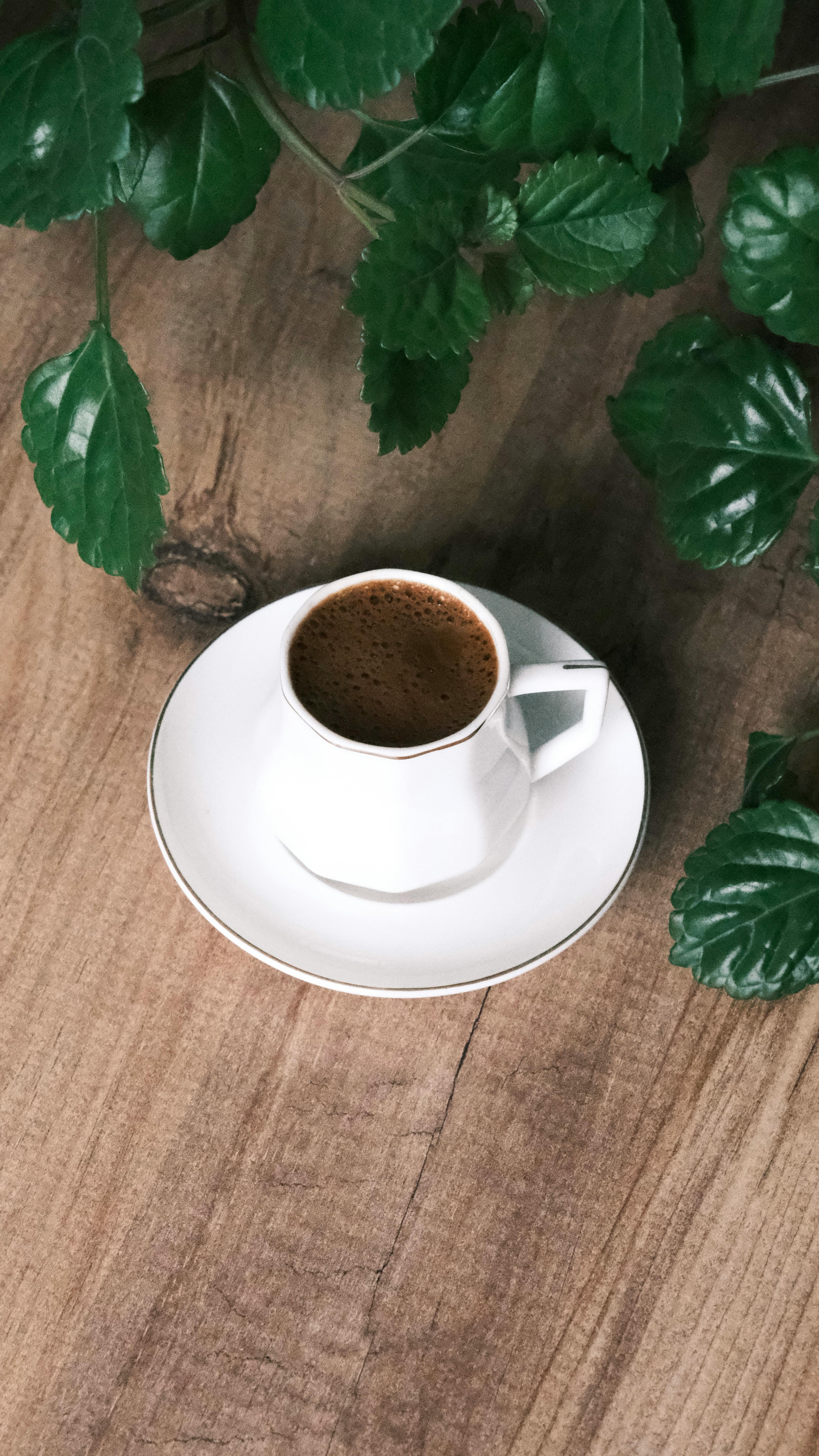 coffee in white cup on saucer next to green leaves