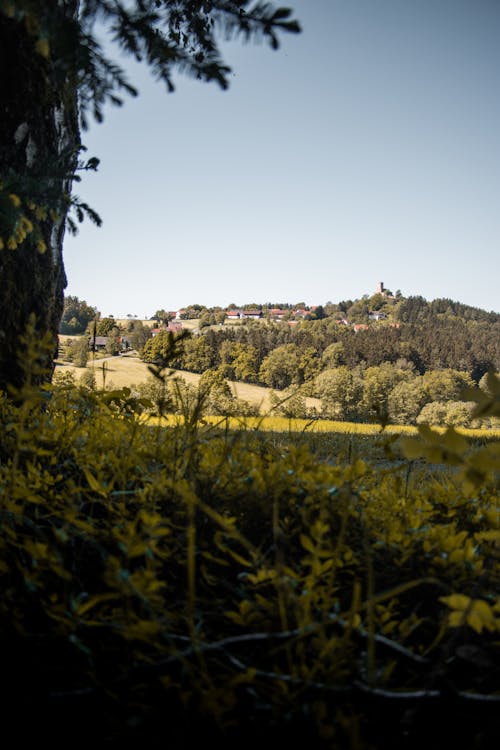 城堡, 村莊, 绿色森林 的 免费素材图片