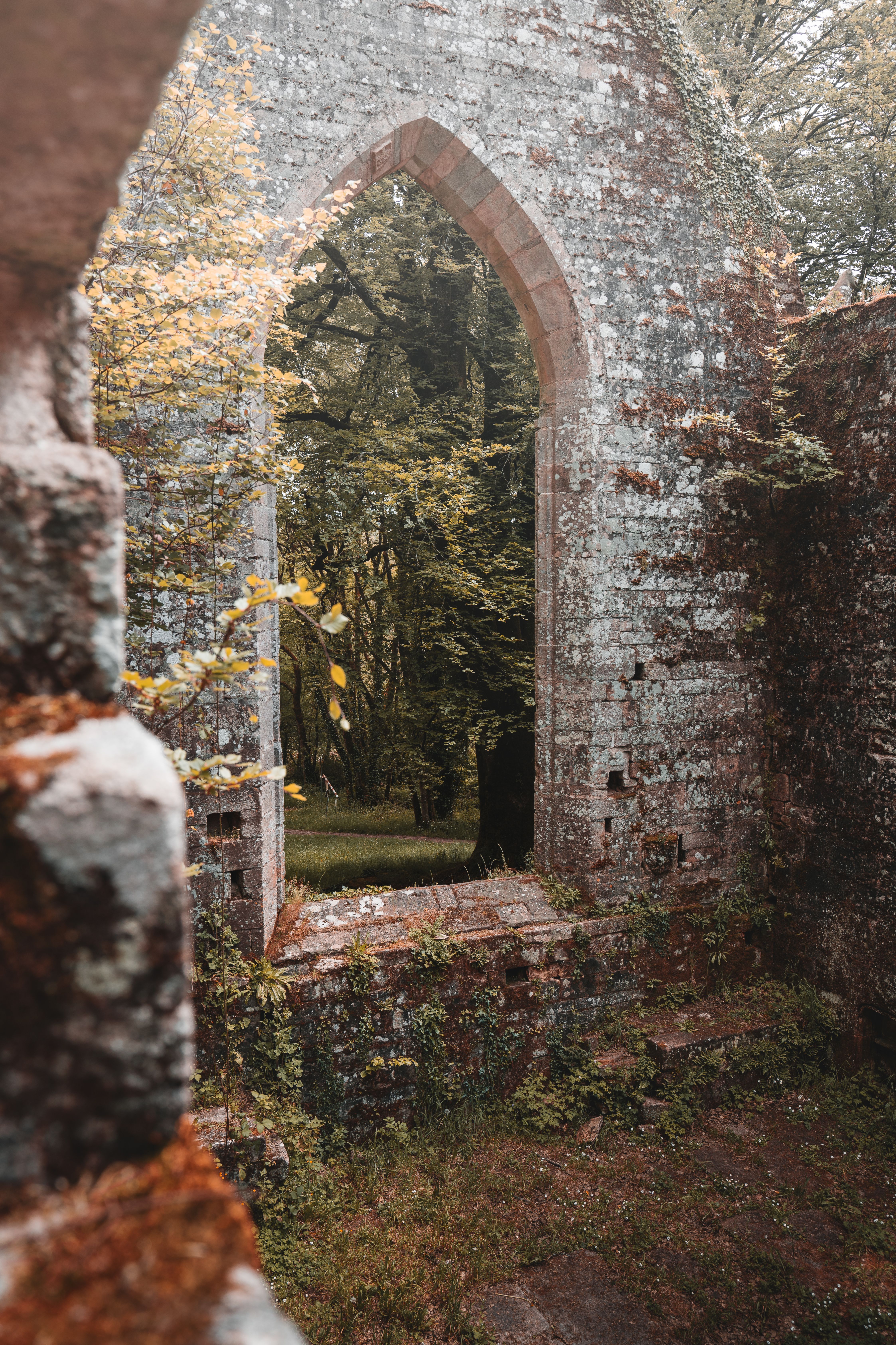 Discover the mystical beauty of ancient ruins framed by lush forest in Grand-Champ, France.