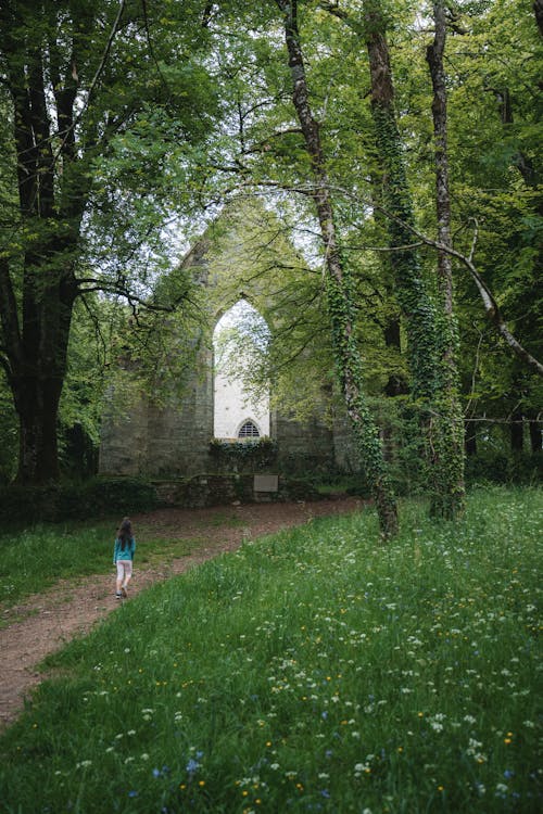 Fotobanka s bezplatnými fotkami na tému bretagne, denné svetlo, divý