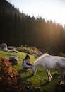 日落时分，一名女子与白马在郁郁葱葱的山地草原上静静享受安宁