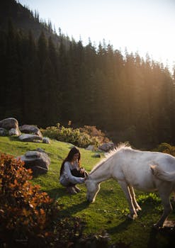 日落时分，一名女子与白马在郁郁葱葱的山地草原上静静享受安宁