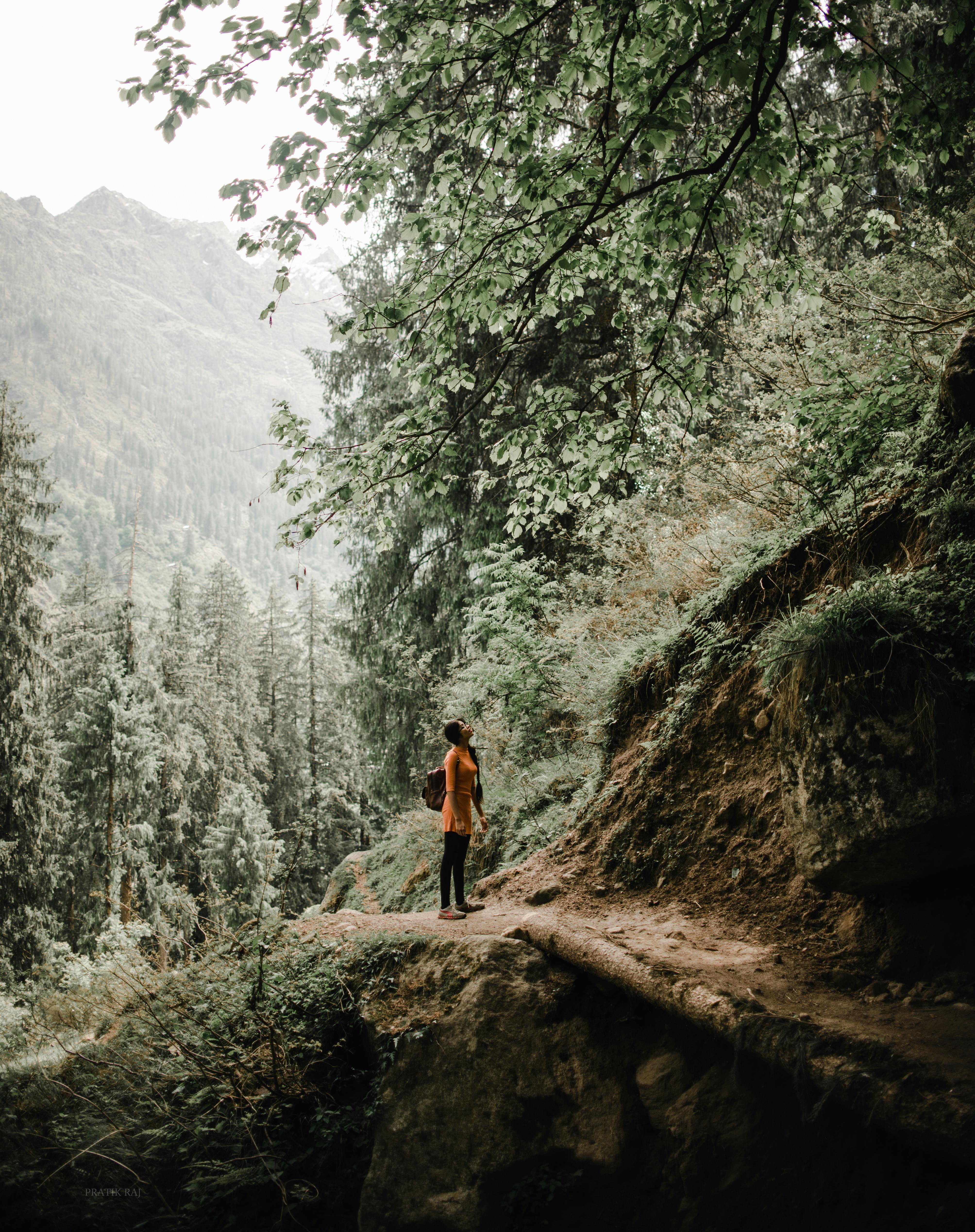 郁郁葱葱的绿色植物和山脉环绕的森林小路上，人们站在这里，非常适合宁静的冒险