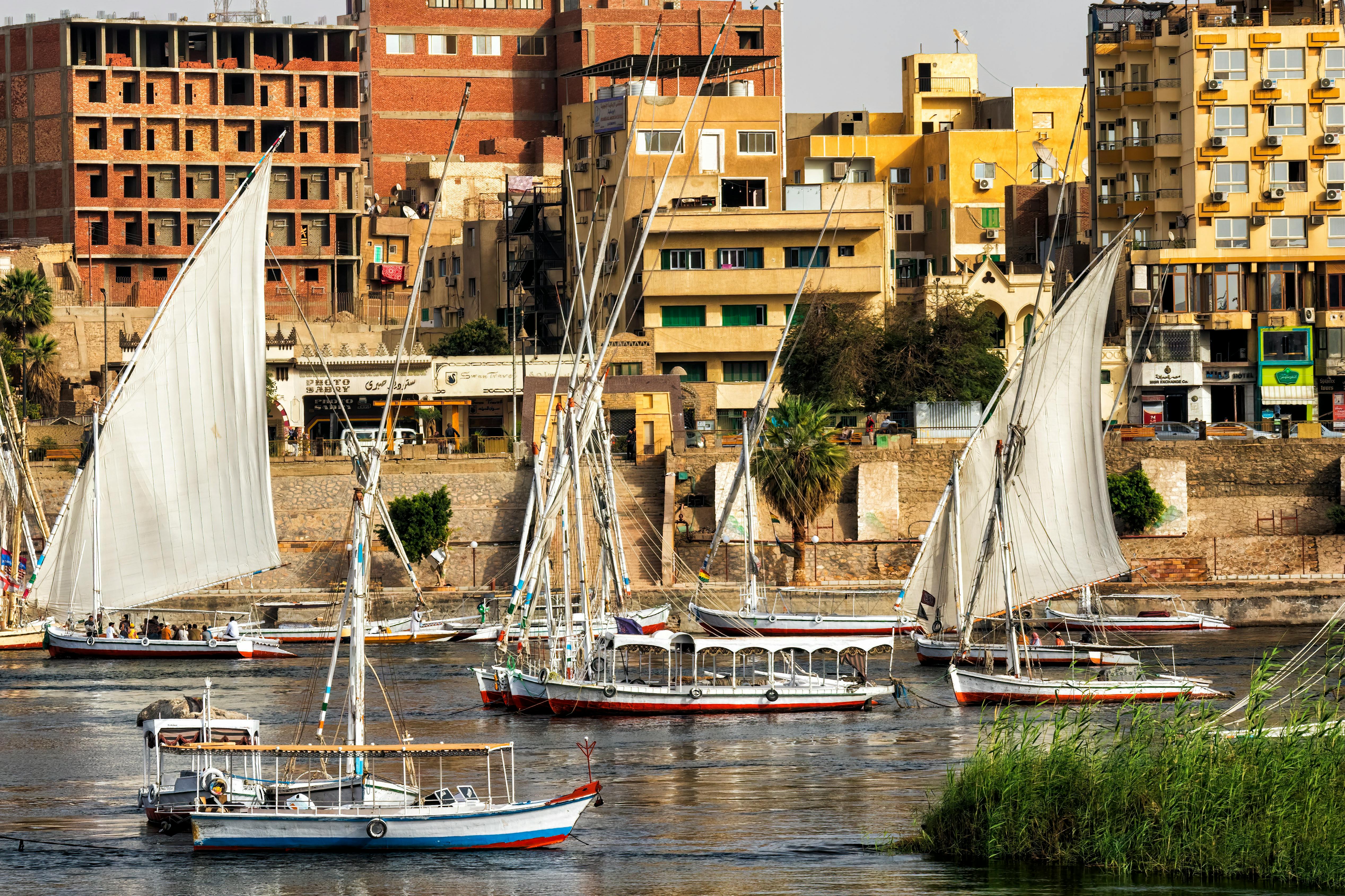 Vibrant Aswan riverfront with traditional feluccas sailing on the Nile.