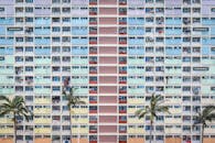 棕榈树掩映下，香港一栋公寓楼的外墙充满活力