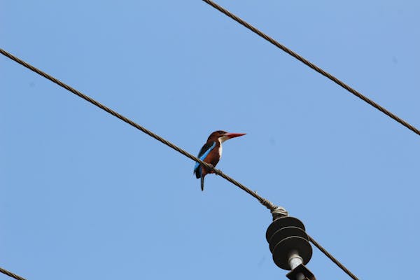 Compact Sleeping Bag