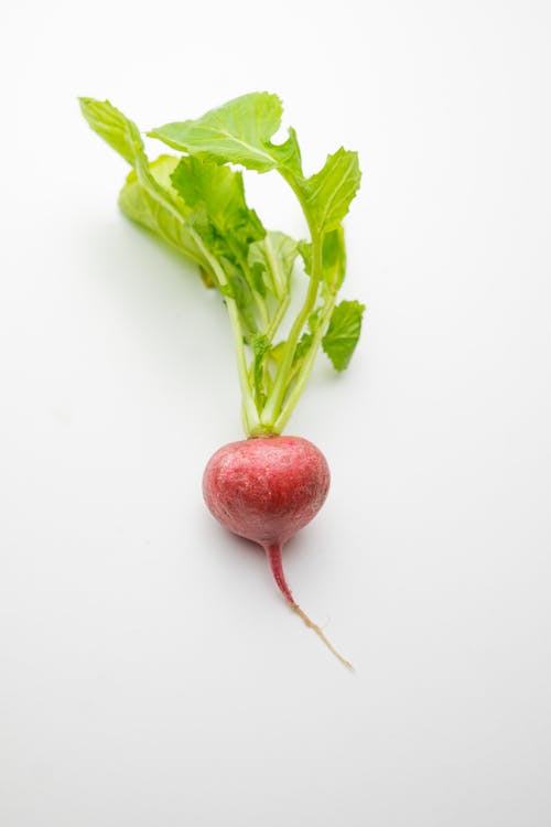 Free Red Onion Stock Photo
