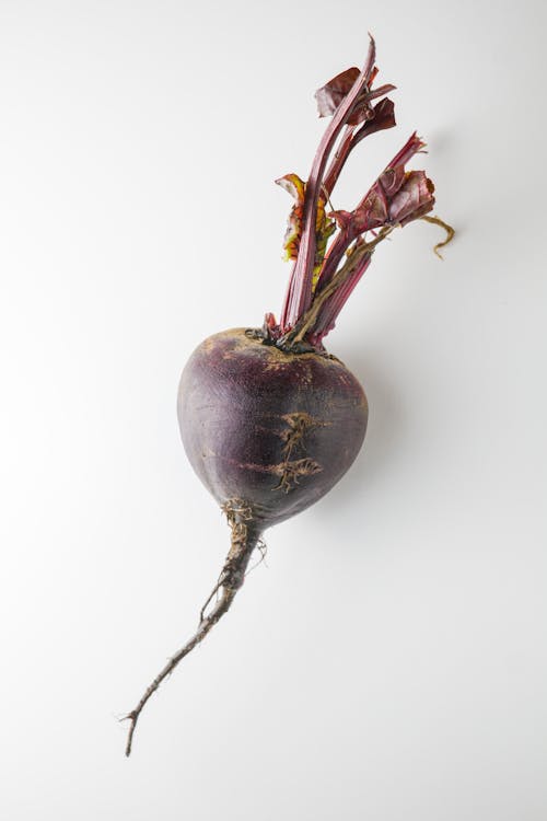 Purple Beet