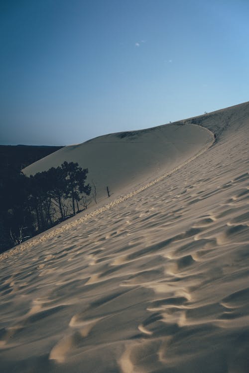 Безкоштовне стокове фото на тему «дюна, пісок, піщані дюни»