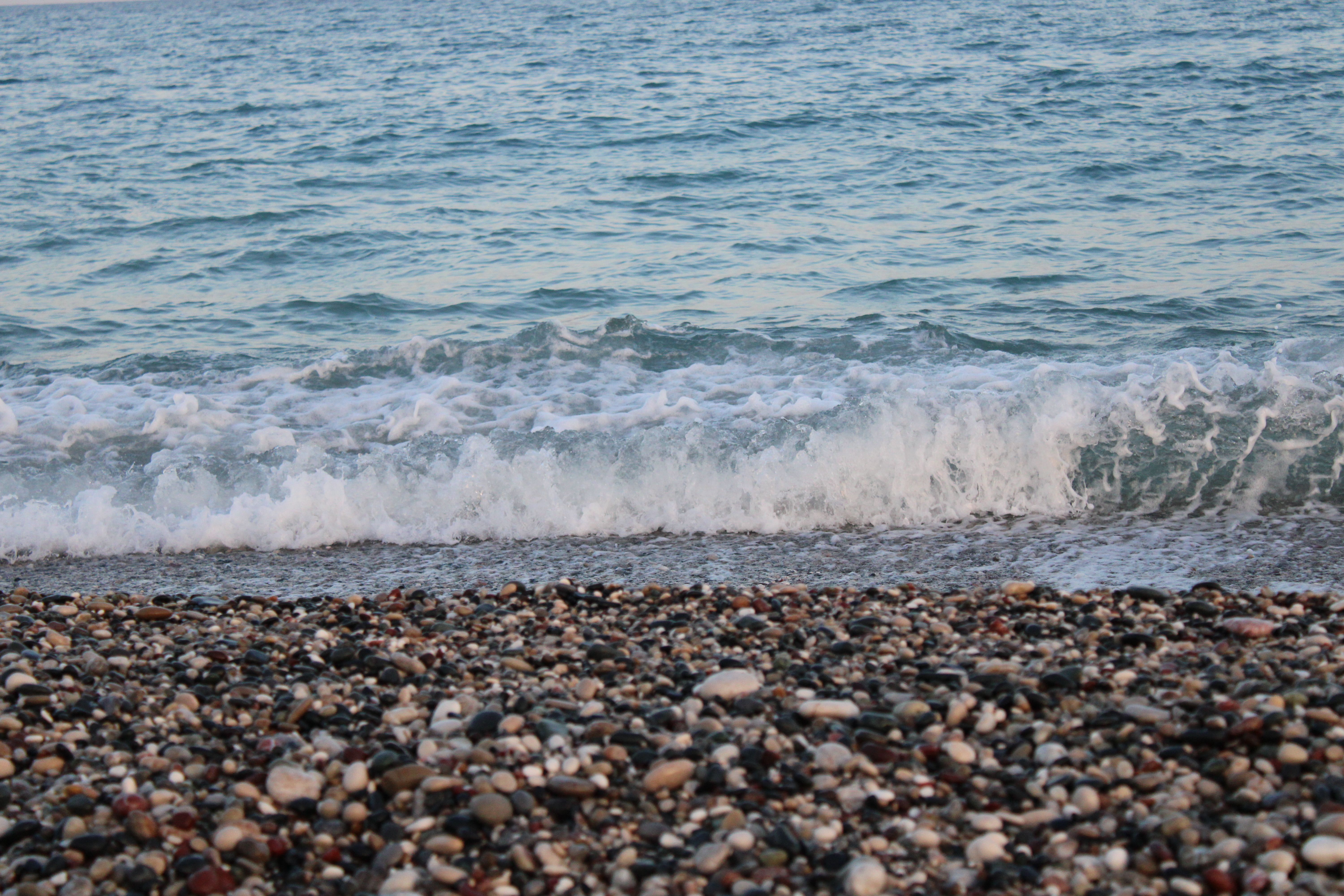 Rocks on a Beach · Free Stock Photo