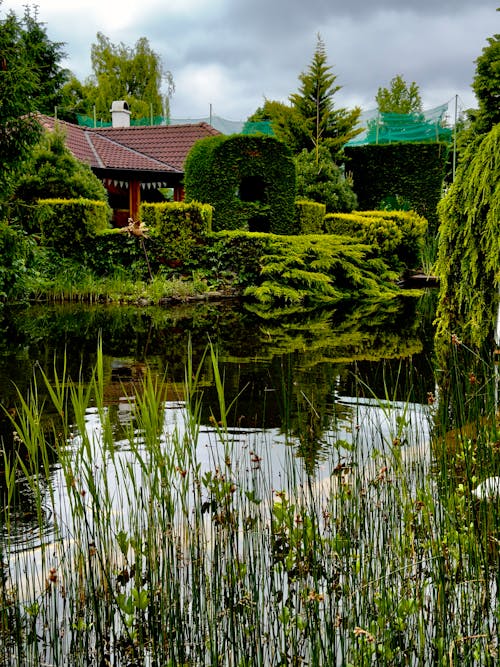 Foto profissional grátis de jardim