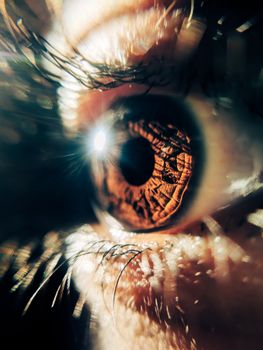 A striking macro shot of a human eye showing reflection and intricate details of the iris.