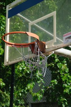 Close-up of a weathered basketball hoop set amidst lush green leaves, symbolizing sports and outdoor play.