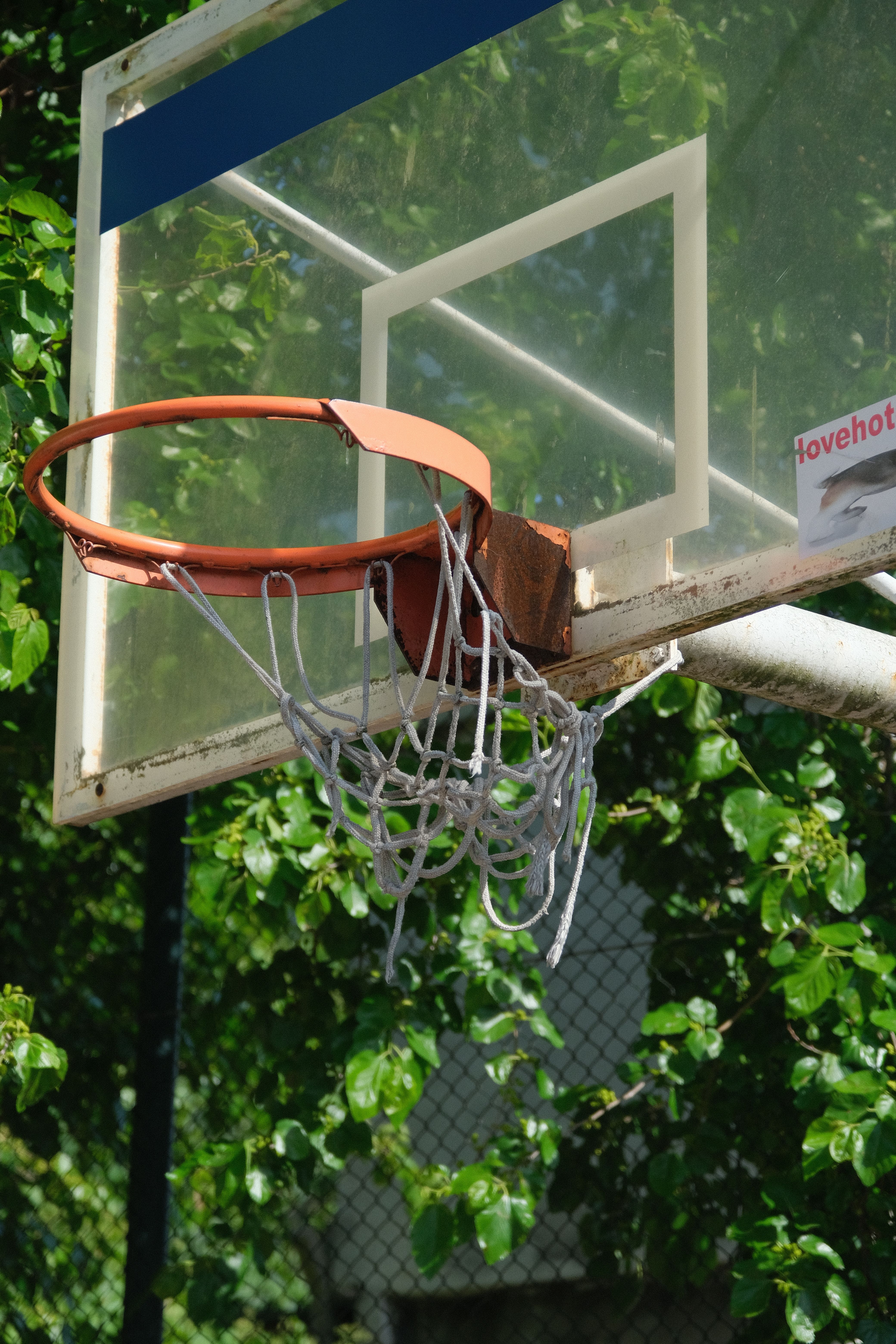 Close-up of a Basketball Hoop
