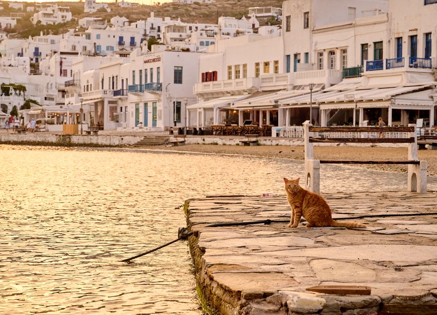 Mykonos, Greece — sights worth exploring · stay connected with a Mykonos eSIM from My Holiday SIM