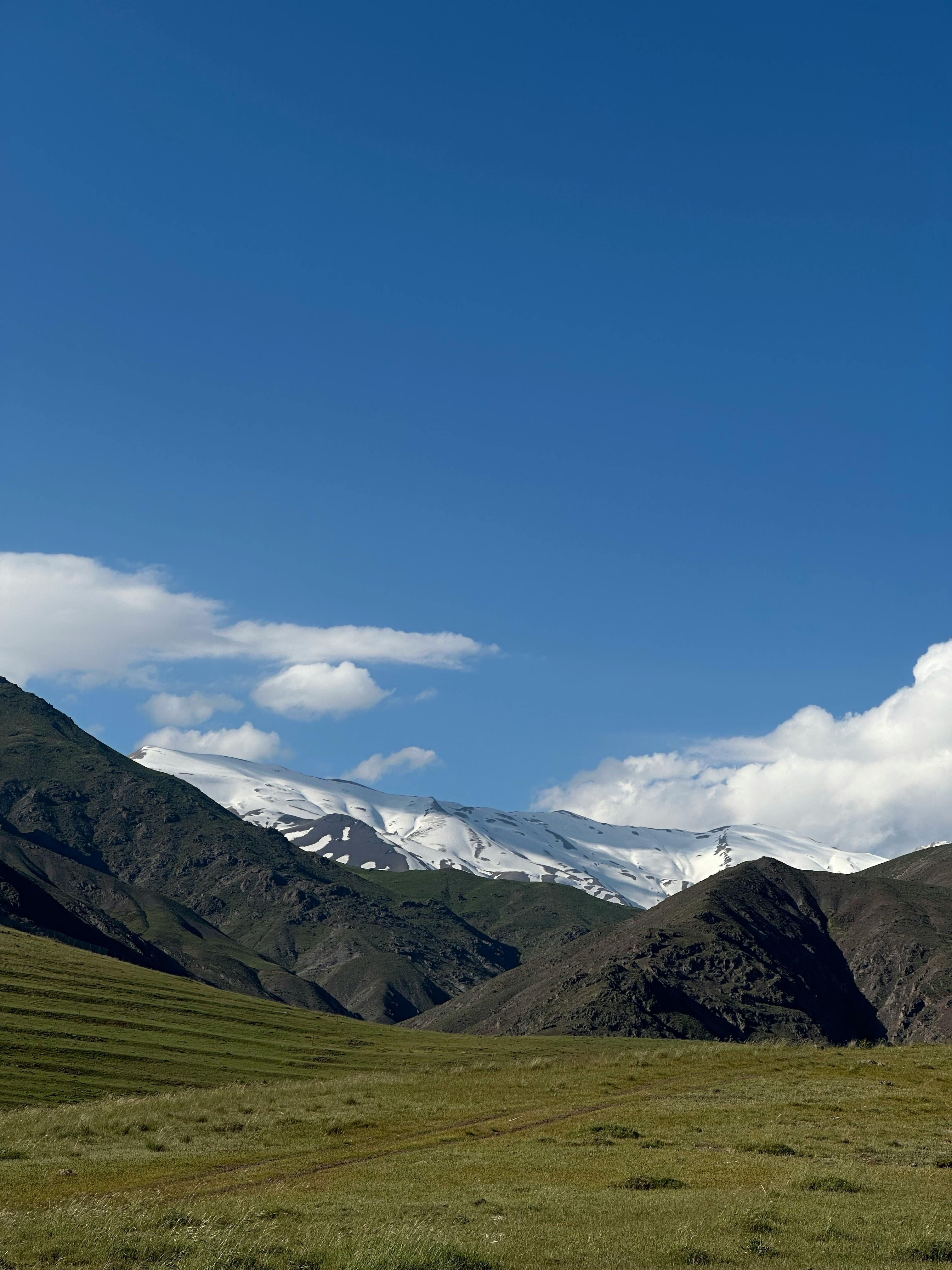 俺のmokkin hills field Tree on top of the hill. View against the background of the