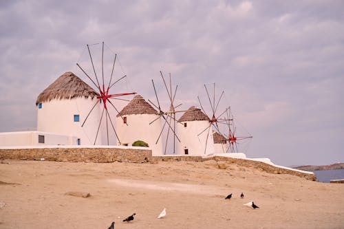 A group of windmills on a beach with birds