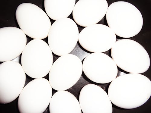 Free stock photo of egg, eggs, hen eggs