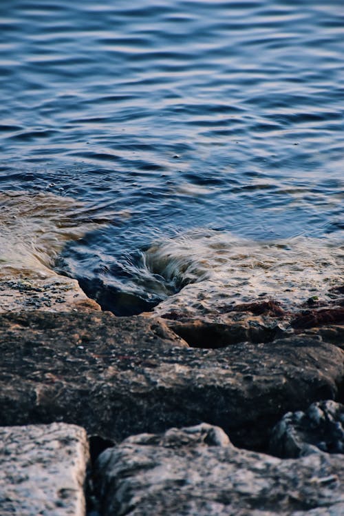 Immagine gratuita di acqua, alba, bagnato