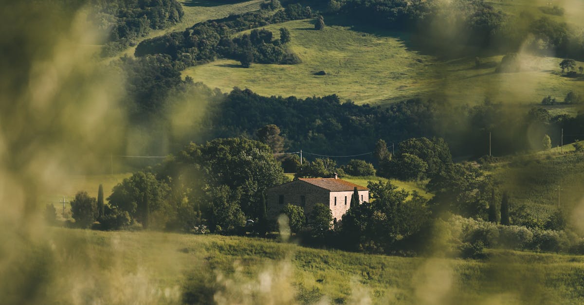 Foto profissional gratuita de agricultura, ao ar livre, área ...