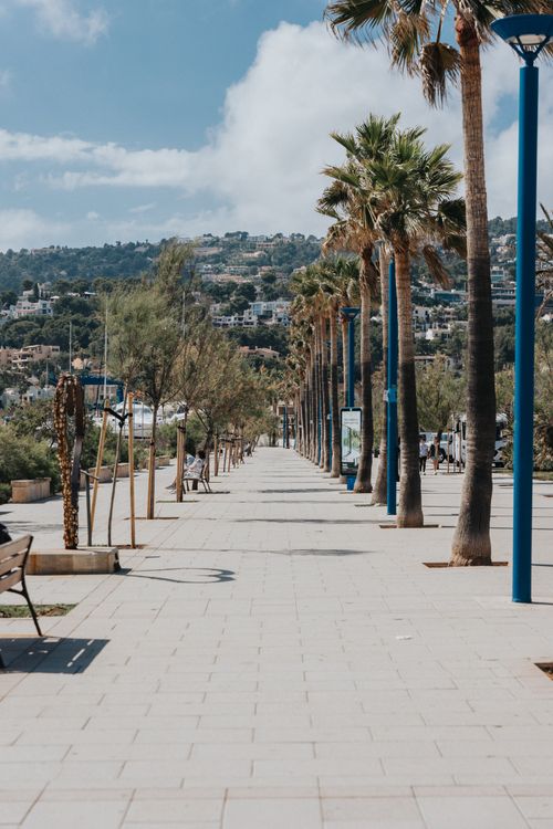 Free A sunlit promenade lined with palm trees in Port d’Andratx, Mallorca, offering a tropical and urban vibe. Stock Photo