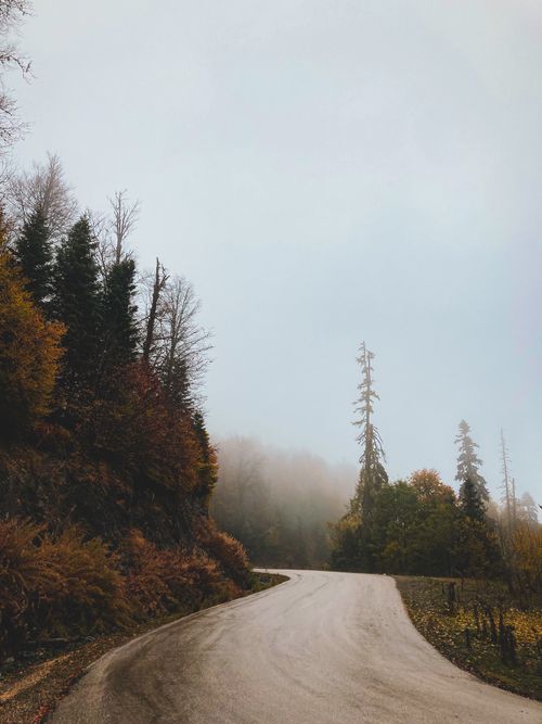 Free Winding road through a misty autumn forest in Bolu, Turkey. Captures serene foliage. Stock Photo