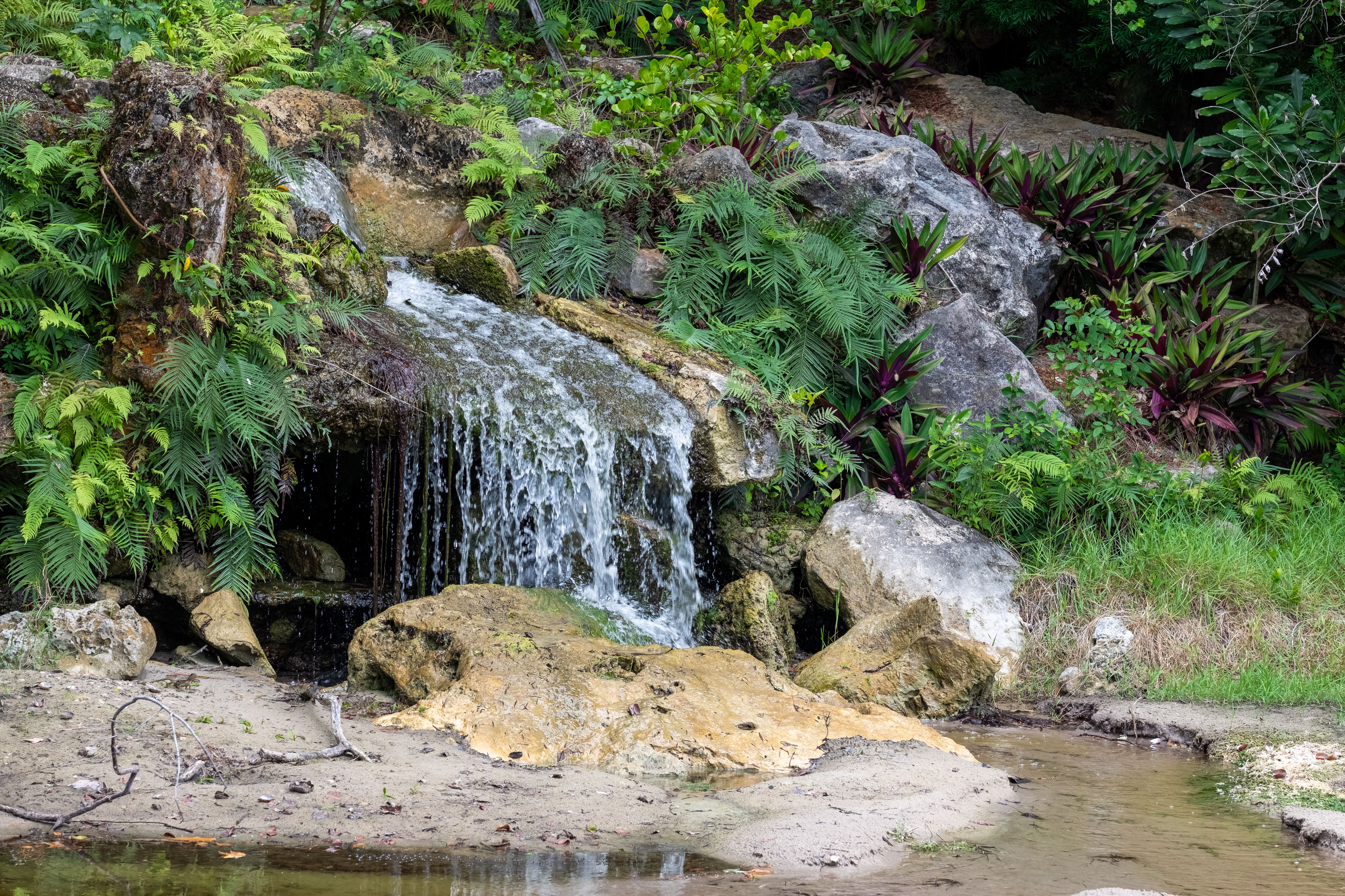 Waterfall on Rocks in Forest · Free Stock Photo