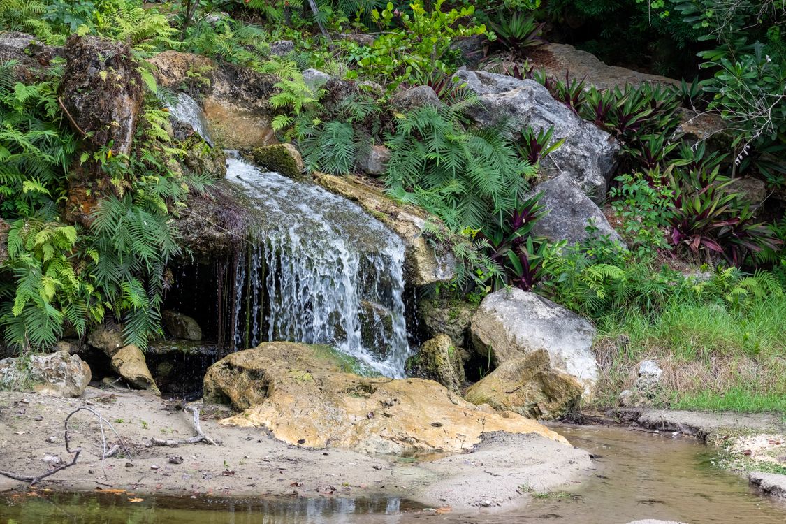 Waterfall on Rocks in Forest · Free Stock Photo