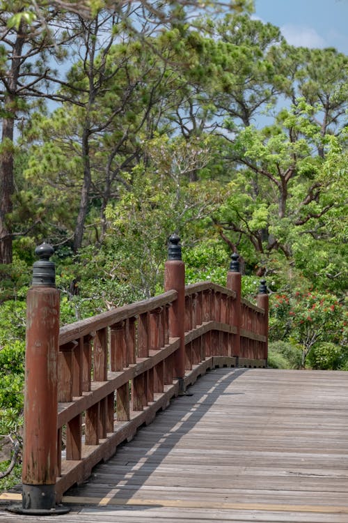 A wooden bridge with wooden posts and trees