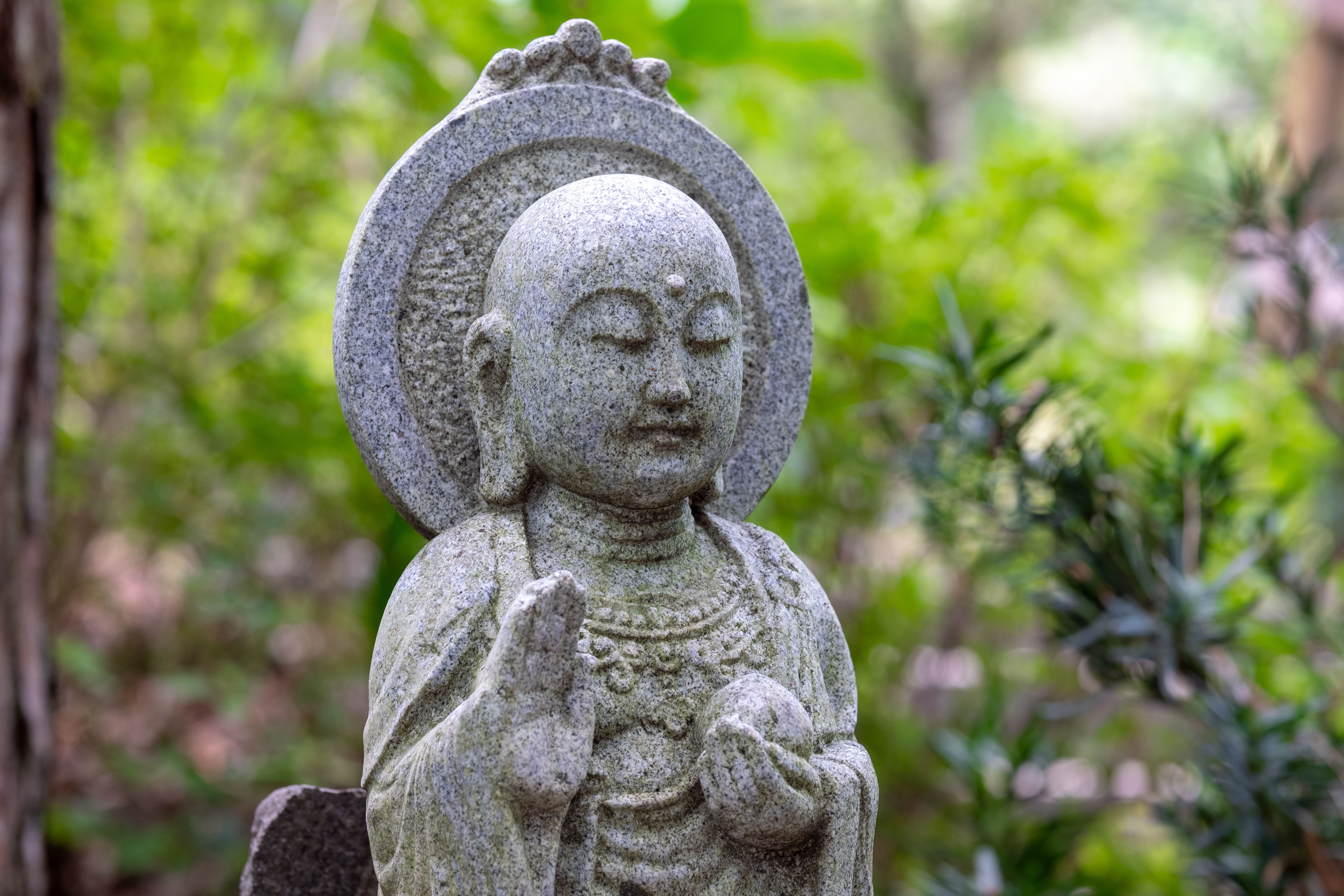 Psychedelic Renaissance 2.0: Your Ultimate Guide to Safe, Legal, and Profound Spiritual Journeys in 2026