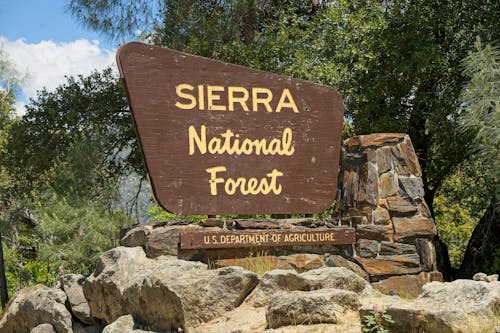 A sign for sierra national forest with a tree in the background