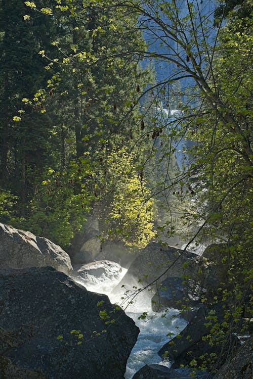 yosemite içeren Ücretsiz stok fotoğraf