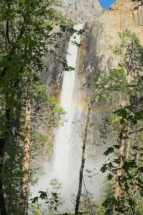 Photos gratuites de yosemite