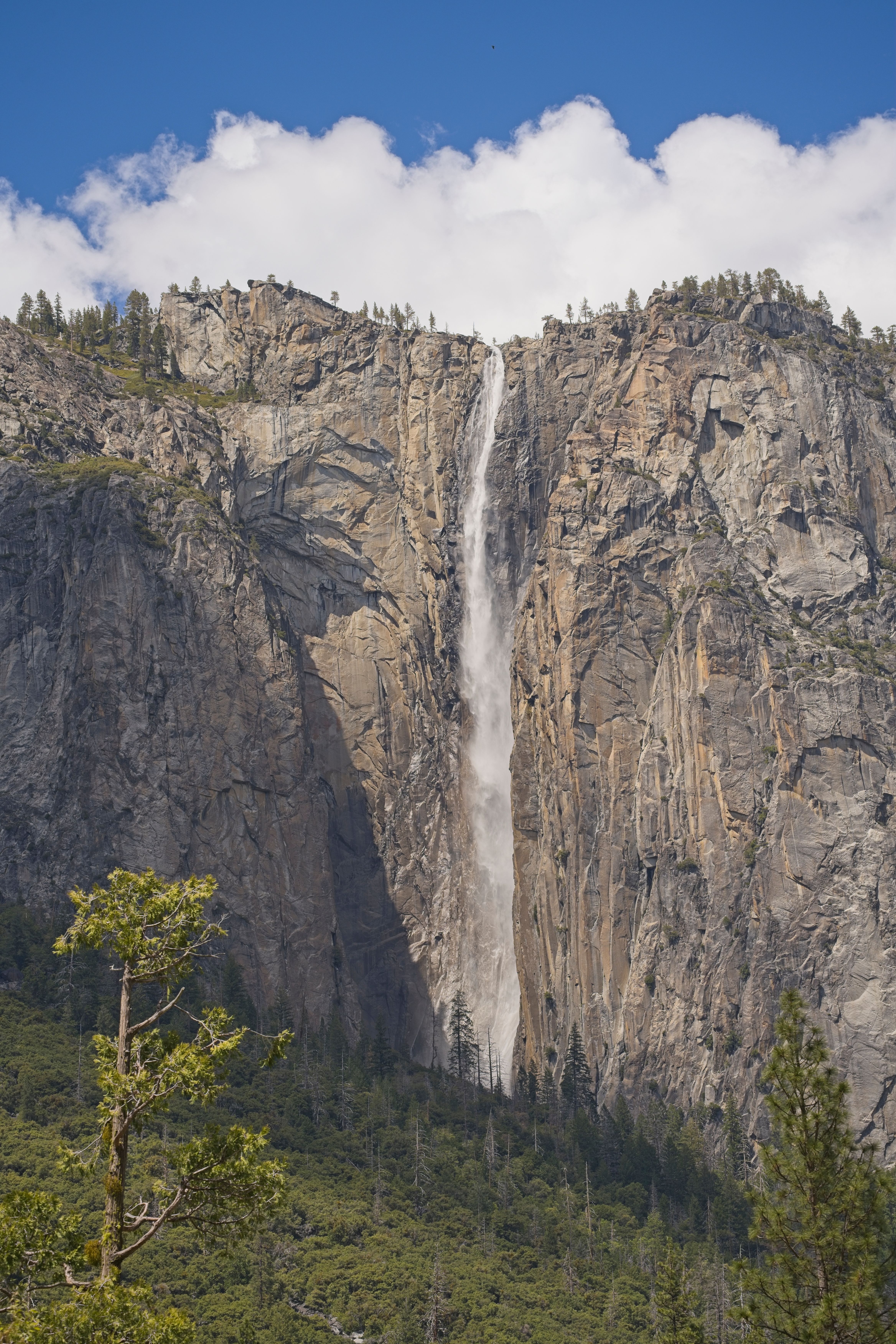Fotomural Vista impresionante de las cascadas de Yosemite cayendo por los acantilados rocosos en el Valle de Yosemite, California.