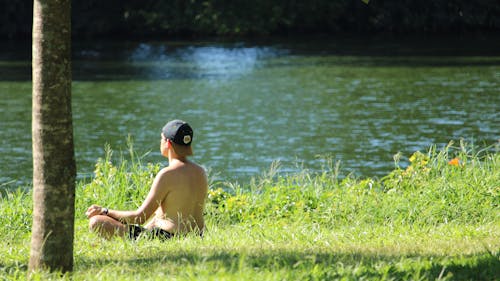 Foto profissional grátis de ibirapuera, ioga, meditação