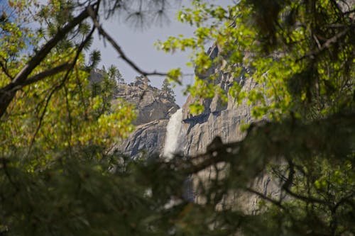 Darmowe zdjęcie z galerii z yosemite