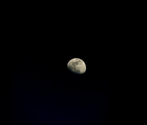 Kostnadsfri bild av astro, fullmåne, halvmåne