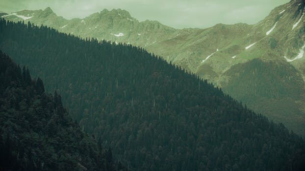 A breathtaking aerial view of lush evergreen forests and towering mountain peaks.